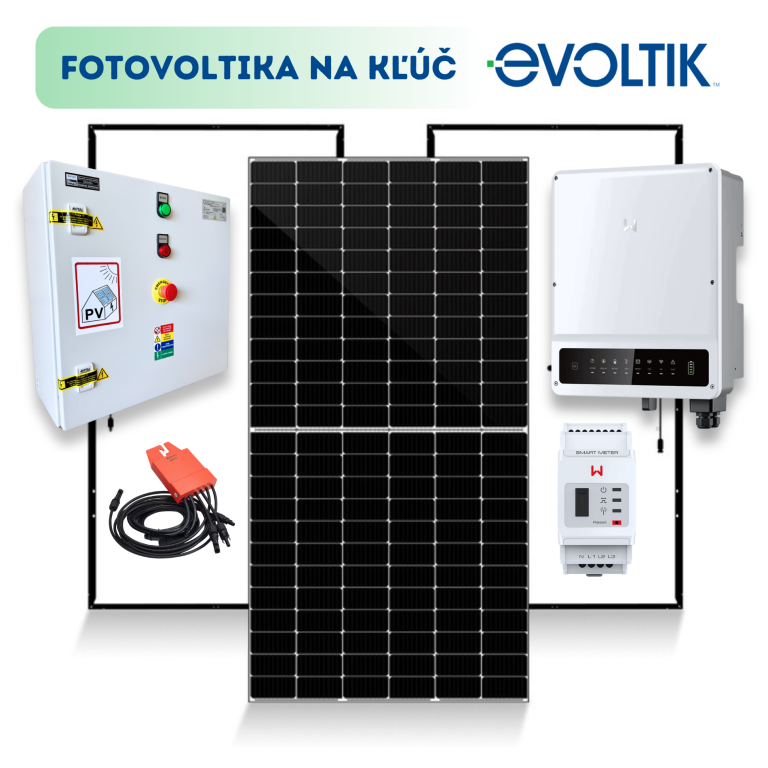 FVE WEB 2 1